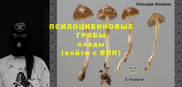 сатива Вуктыл