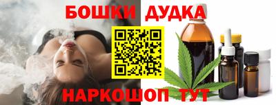 наркотики Кингисепп