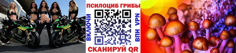 Галлюциногенные грибы MAGIC MUSHROOMS Карпинск