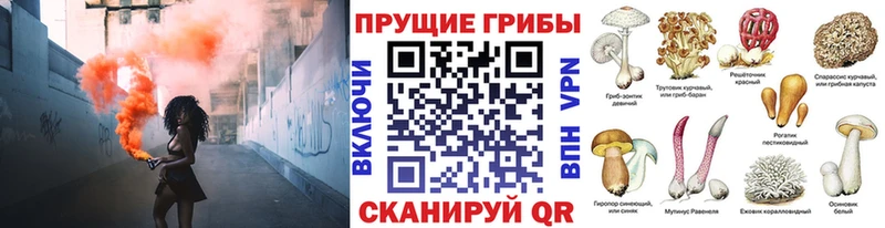 Галлюциногенные грибы мицелий  Карпинск 