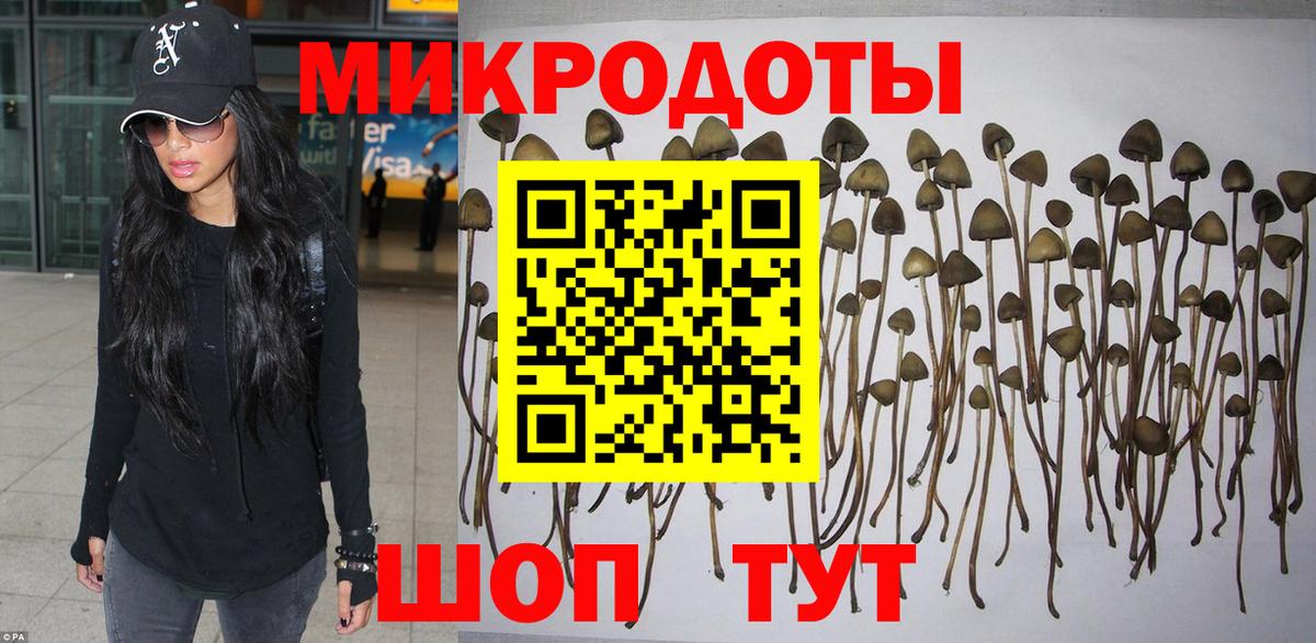 Псилоцибиновые грибы Magic Shrooms Карпинск