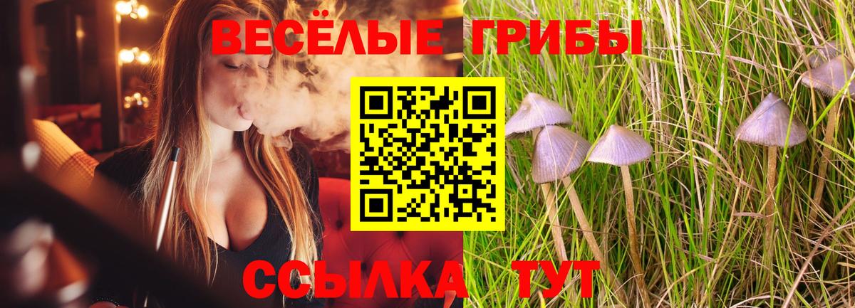 Карпинск  Галлюциногенные грибы мухоморы  Вход с VPN  Псилоцибиновые грибы прущие грибы 