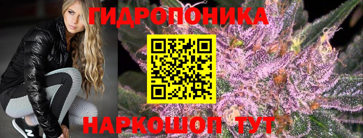 Карпинск  Бошки Шишки план  Вход с VPN  Канабис сатива 